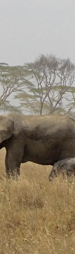 Auf den Spuren der Big Five